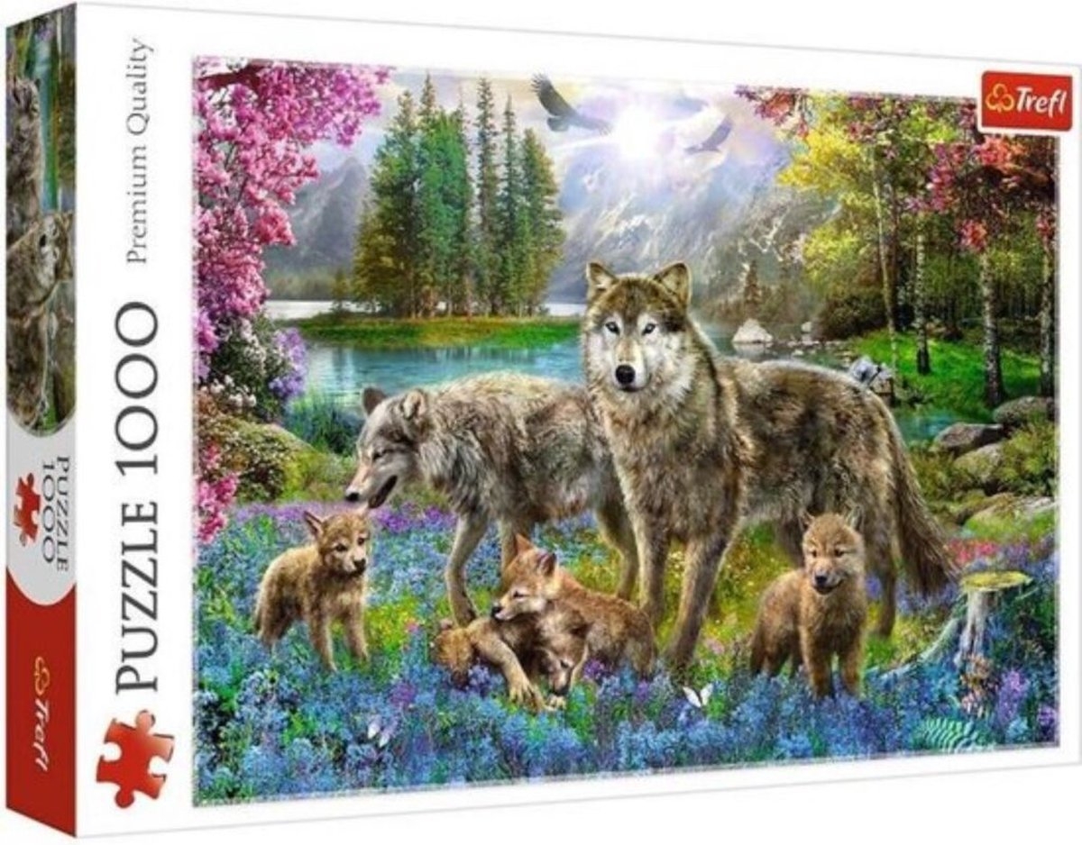 PUZZEL 1000 STUKJES UILEN ()