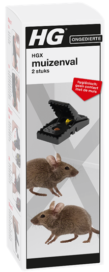 HG X MUIZENVAL ()