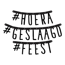 LETTERGUIRLANDE GESLAAGD 5 STUKS ()