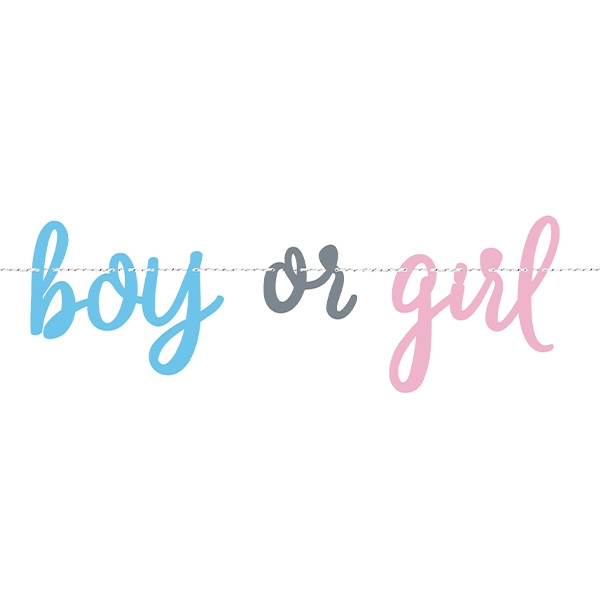 LETTERSLINGER GENDER REVEAL 213CM ()